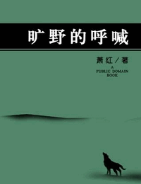 国产精典有声小说在线听,沉浸式听觉盛宴