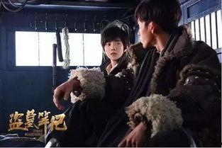 在线观看国产盗墓笔记,盗墓笔记网络热映，揭秘神秘古墓之谜