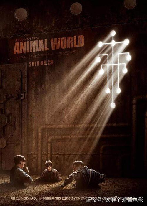 高清完整国产电影在线,深度解析国产电影高清完整版在线观看之旅